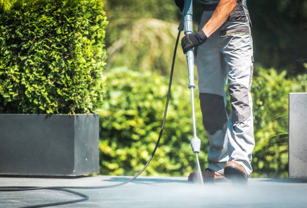 Solar Panel Cleaning in Wilson, NC